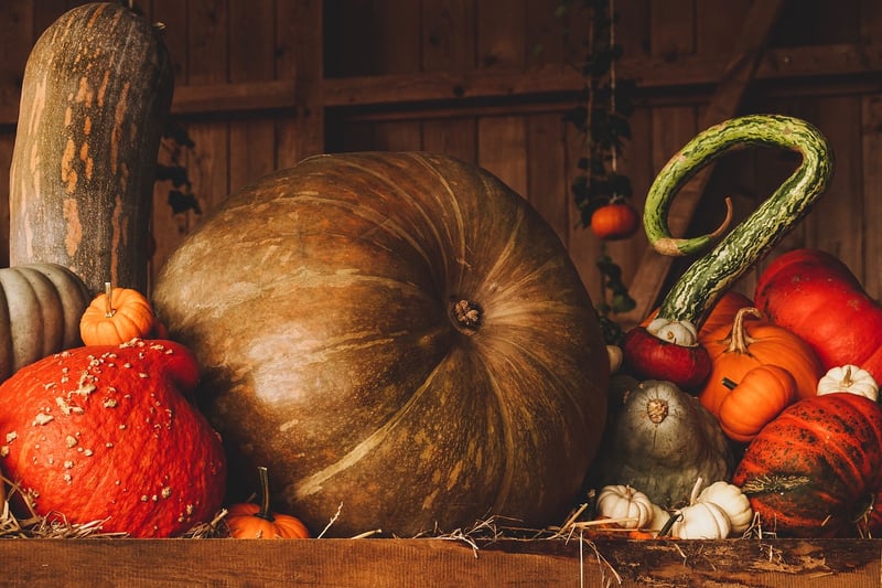 Fall Harvest Tips
