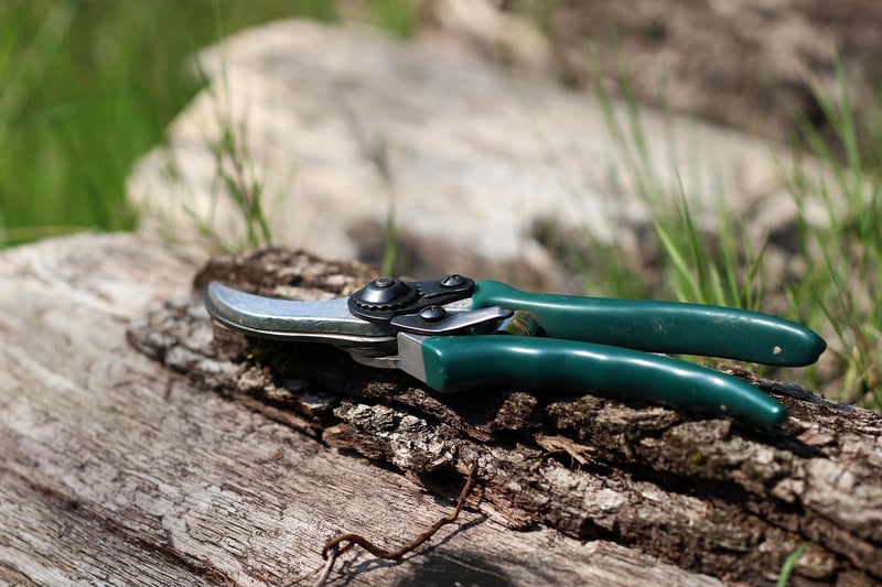 Pruning Methods